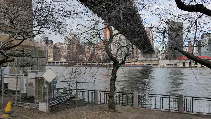 NYC_2020-01-27 08-28-53_P1070804